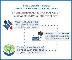 Service and Utility Fleet Numbers Factoid