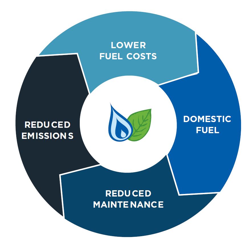 Why Convert to Autogas Infographic